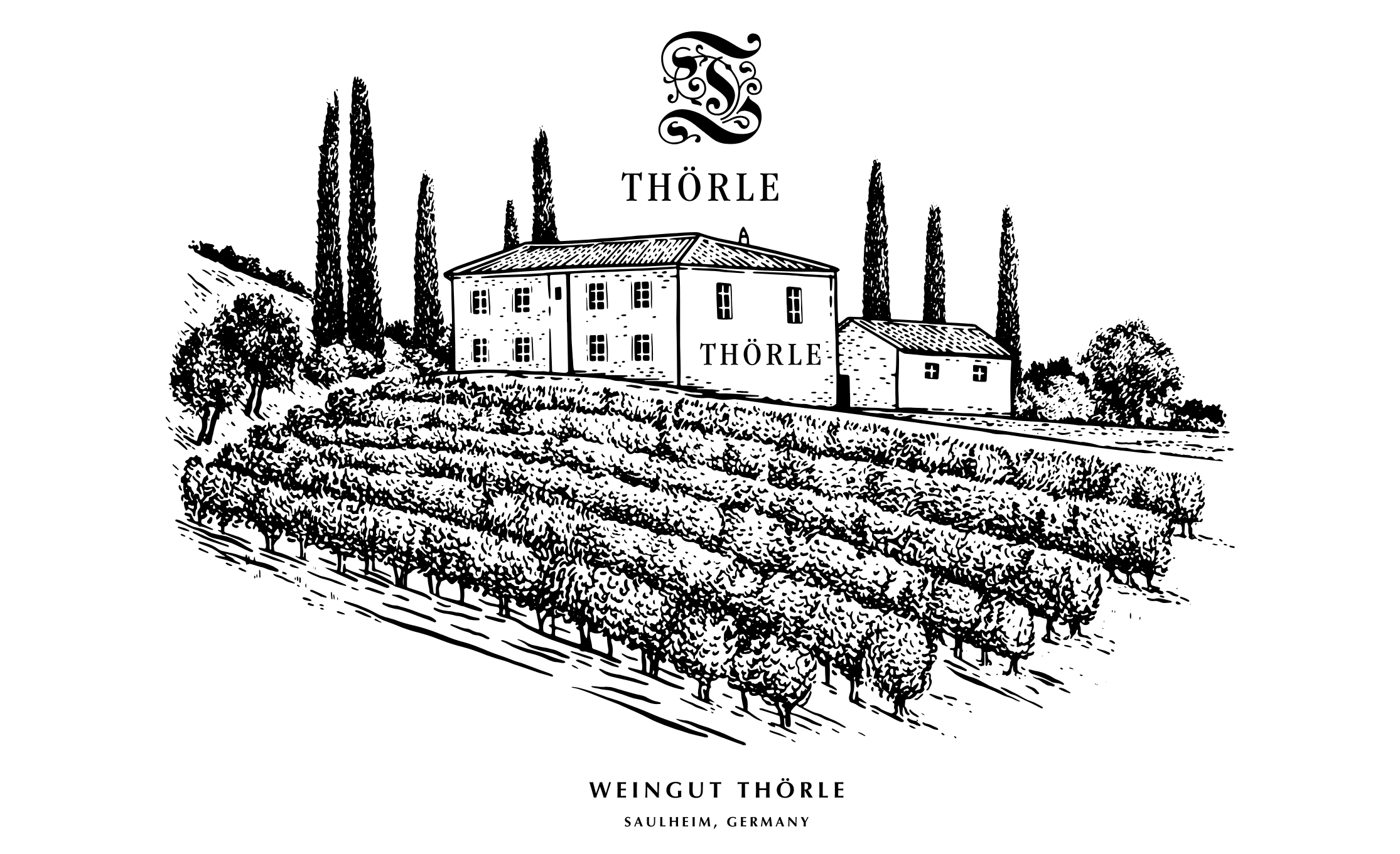 Weingut Thörle, Saulheim — bản khắc điền trang từ tư liệu thương hiệu