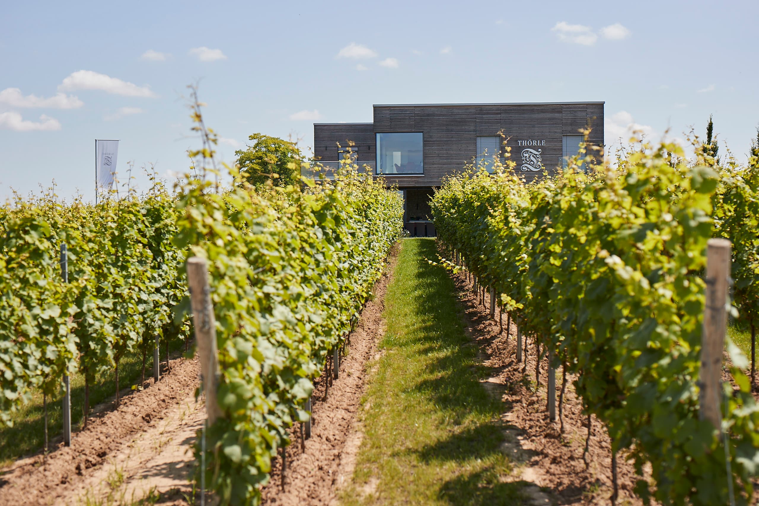 Khuôn viên điền trang Thörle ở Saulheim, Rheinhessen